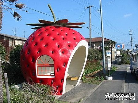 草莓巴士站 草莓巴士站