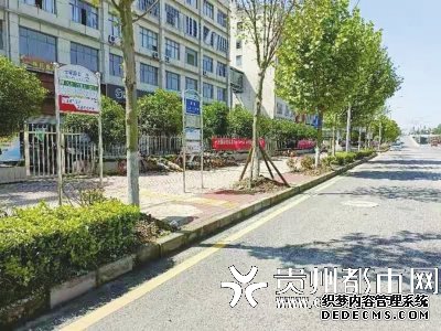 綠化改造后的人行道