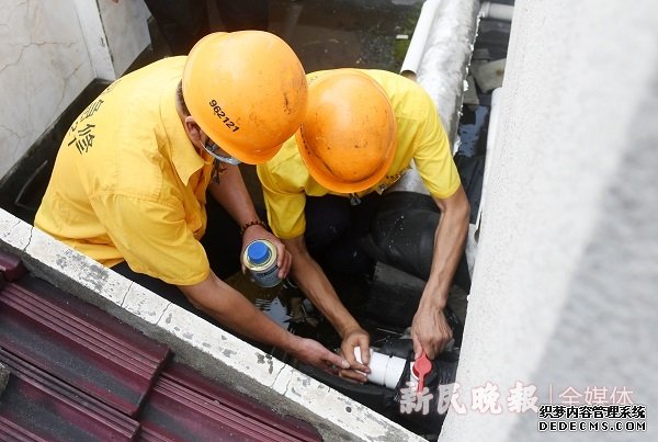 今年新民晚報夏令熱線共受理市民訴求7.2萬余件:高效率處置,“金點子”頻出 今年新民晚報夏令熱線共受理市民訴求7.2萬余件:高效率處置,“金點子”頻出