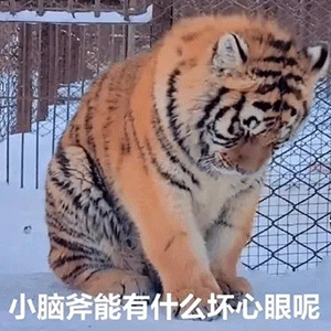 公交站臺尺寸數據